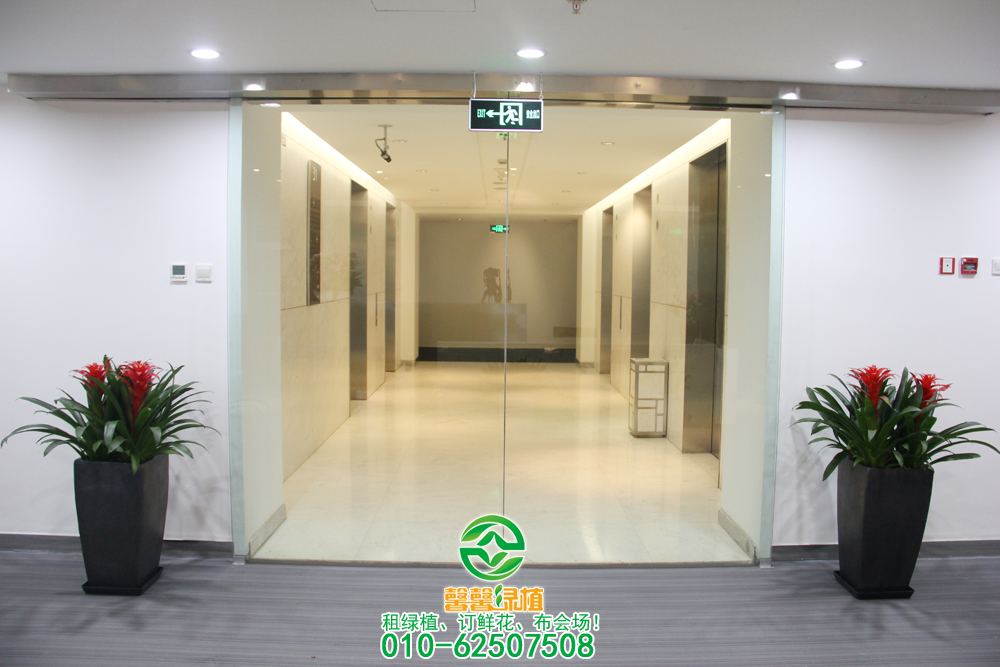 平头红欧式方盆摆放公司前台