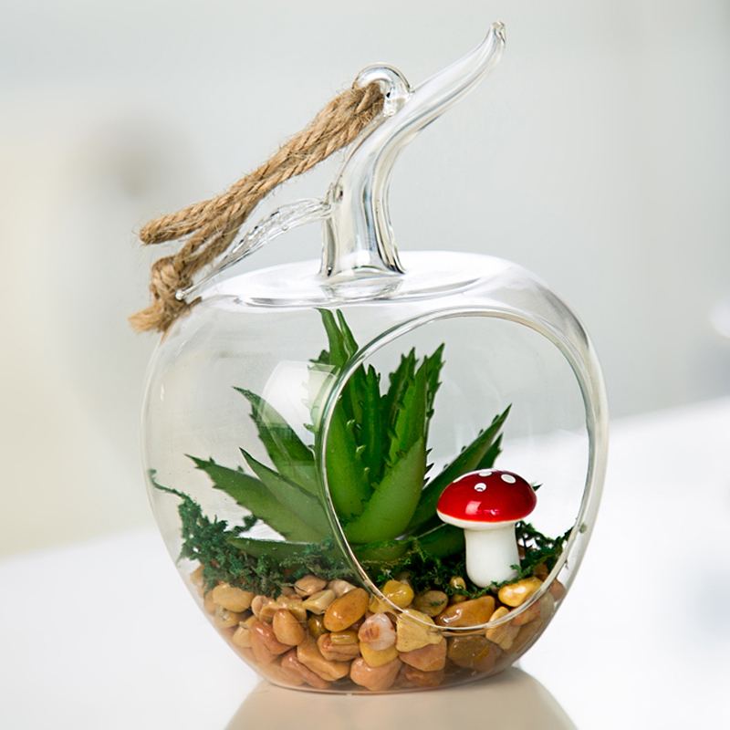 植物与器皿