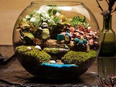 微景观