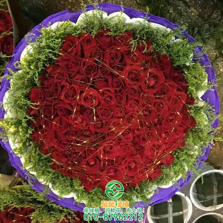 鲜花系列欣赏