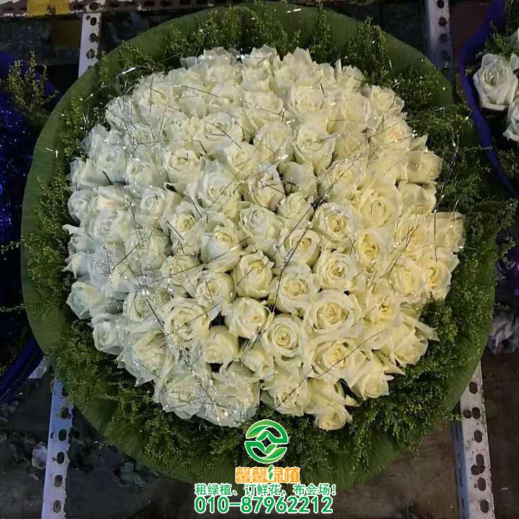 鲜花系列欣赏