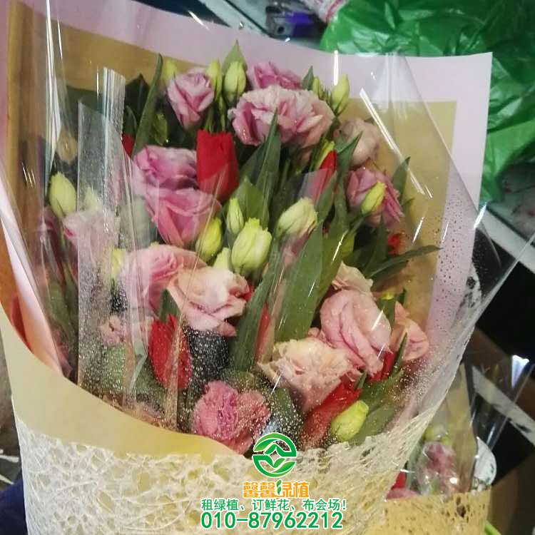 鲜花系列欣赏