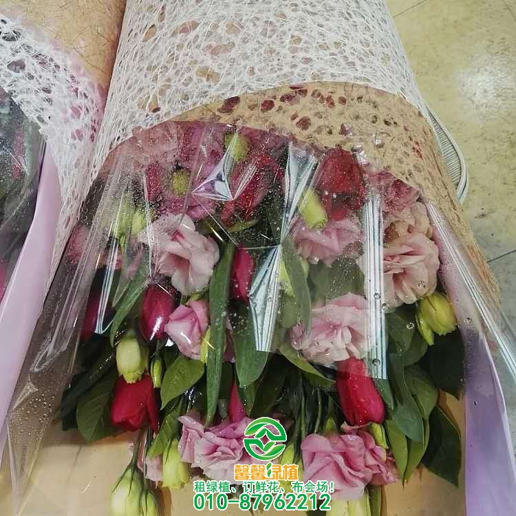 鲜花系列欣赏