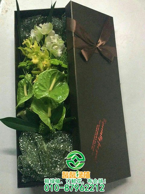 鲜花系列欣赏