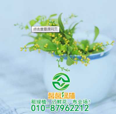 如何防治米兰早春夭折