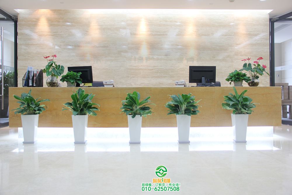 离线绿色植物+在线“双种植”，Liu Bai星球开放绿